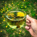 The Pros and Cons of Dandelion Root Tea: An Expert's Perspective