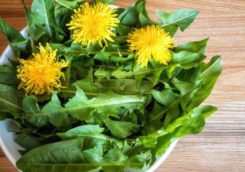 The Surprising Benefits of Eating Dandelions Every Day