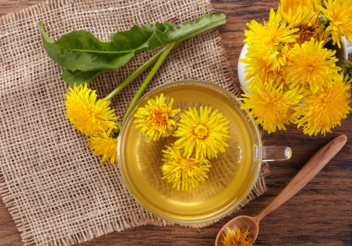 The Power of Dandelion for Bloating Relief