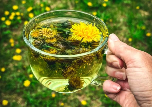 The Pros and Cons of Dandelion Root Tea: An Expert's Perspective